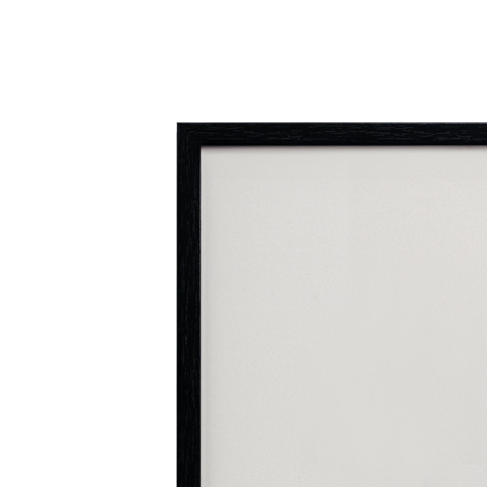 Monochromatic No: 10