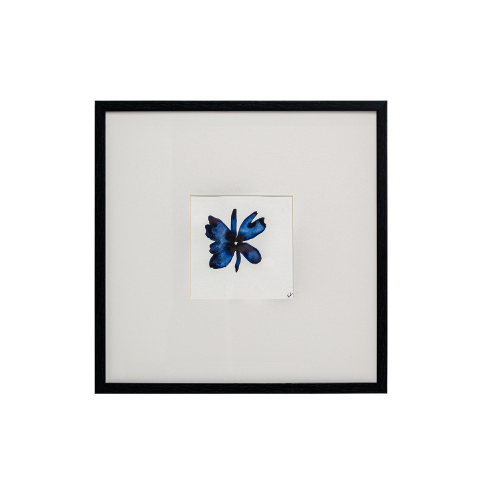 Indigo Bloom No: 1 Match